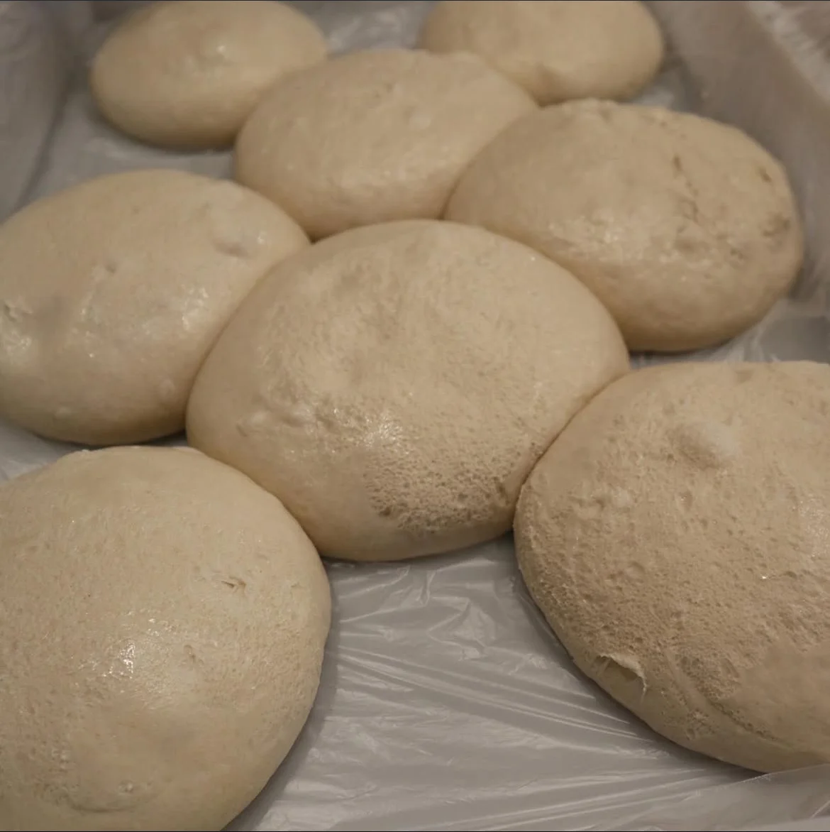 Pâtons en maturation au froid